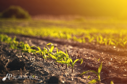 Animal-based amino acid fertilizer
